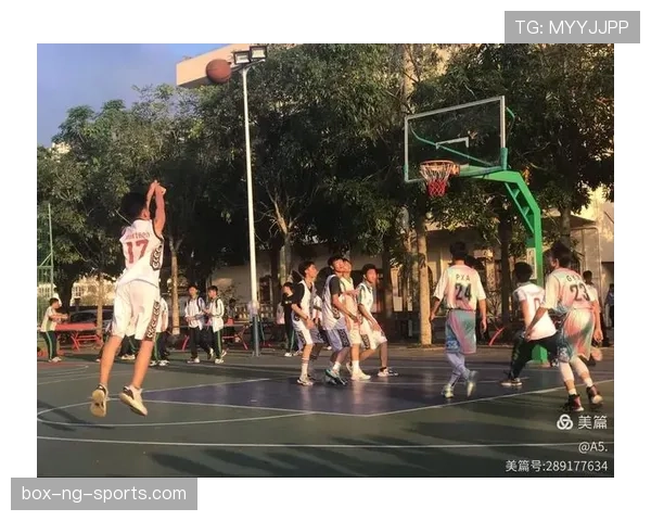 篮球比赛着地空间规则：理解其具体内涵与判罚依据
